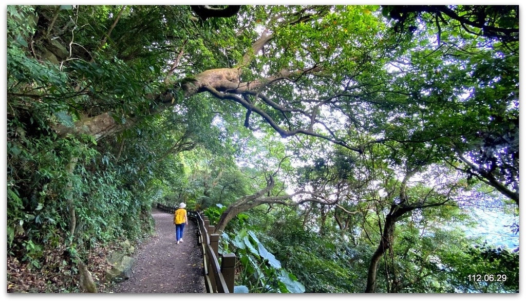 台北 天母古道之親山廊道