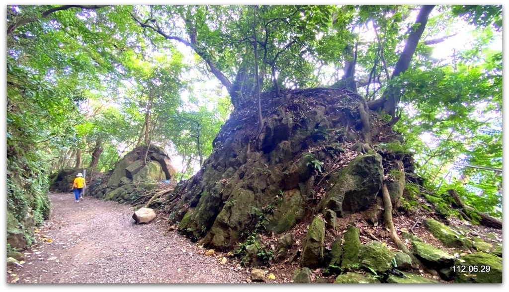 台北 天母古道之親山廊道