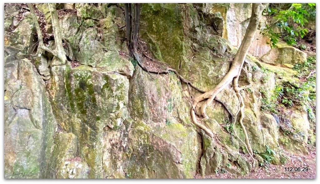 台北 天母古道之親山廊道