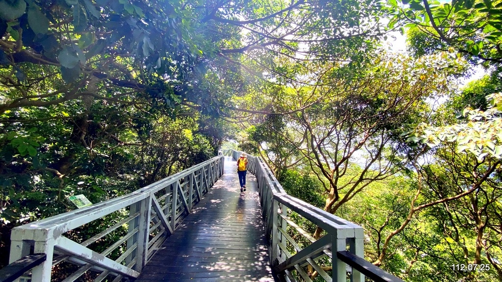 新北五股 林梢步道