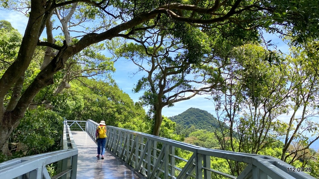 新北五股 林梢步道