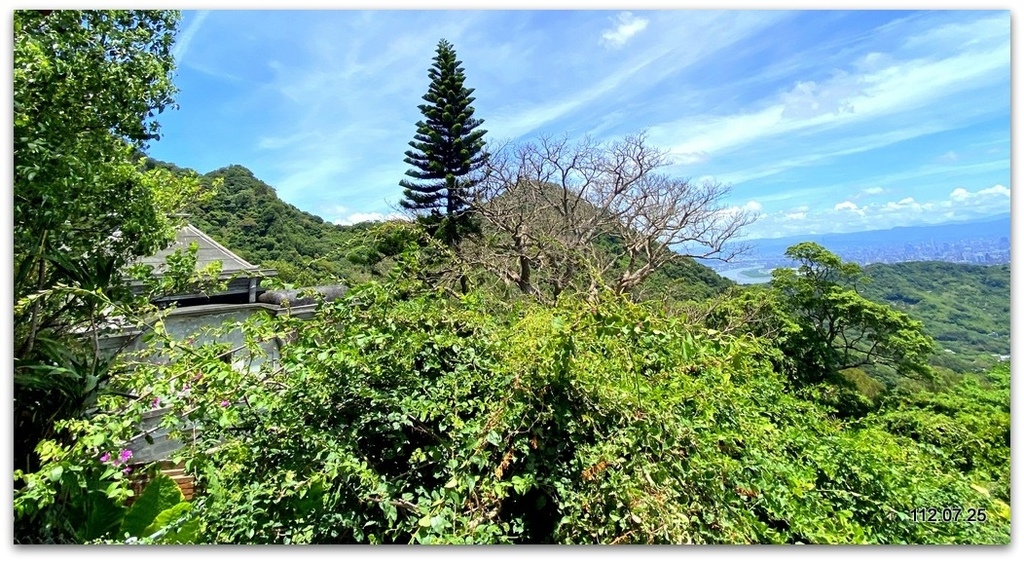 新北五股 林梢步道