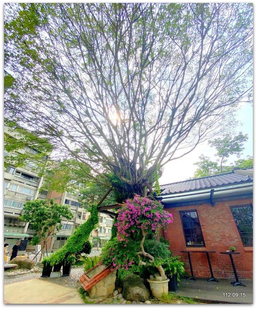 台北 榕錦時光生活園區