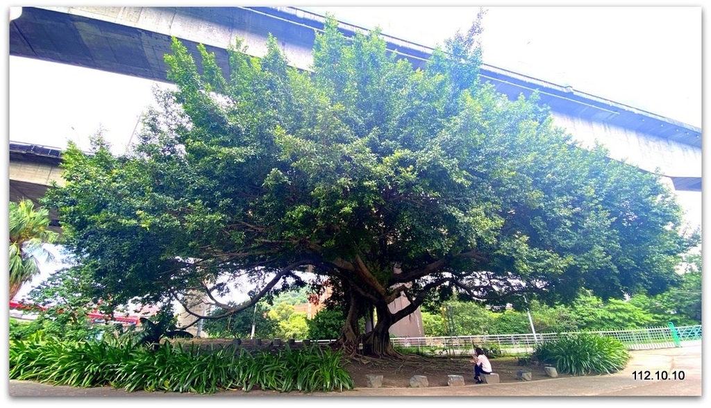 姑嫂樂遊台北 花博公園賞花草