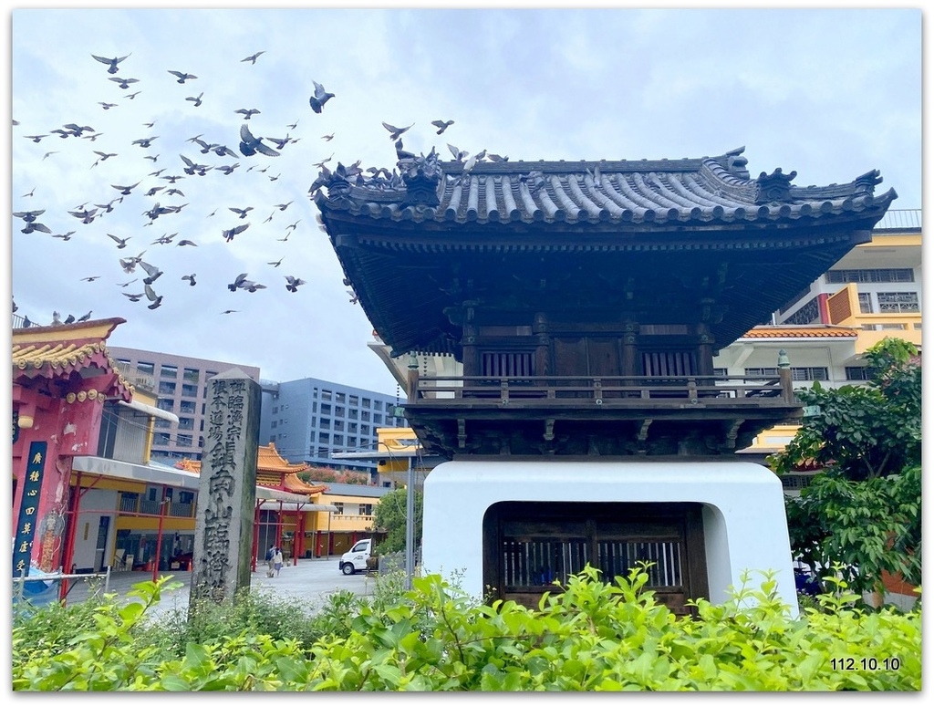 姑嫂樂遊台北 花博公園賞花草