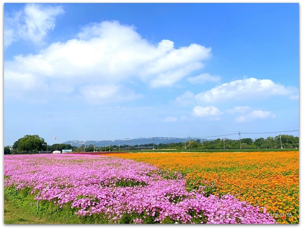 台中國際花毯節 新社花海+東勢鄉間即景