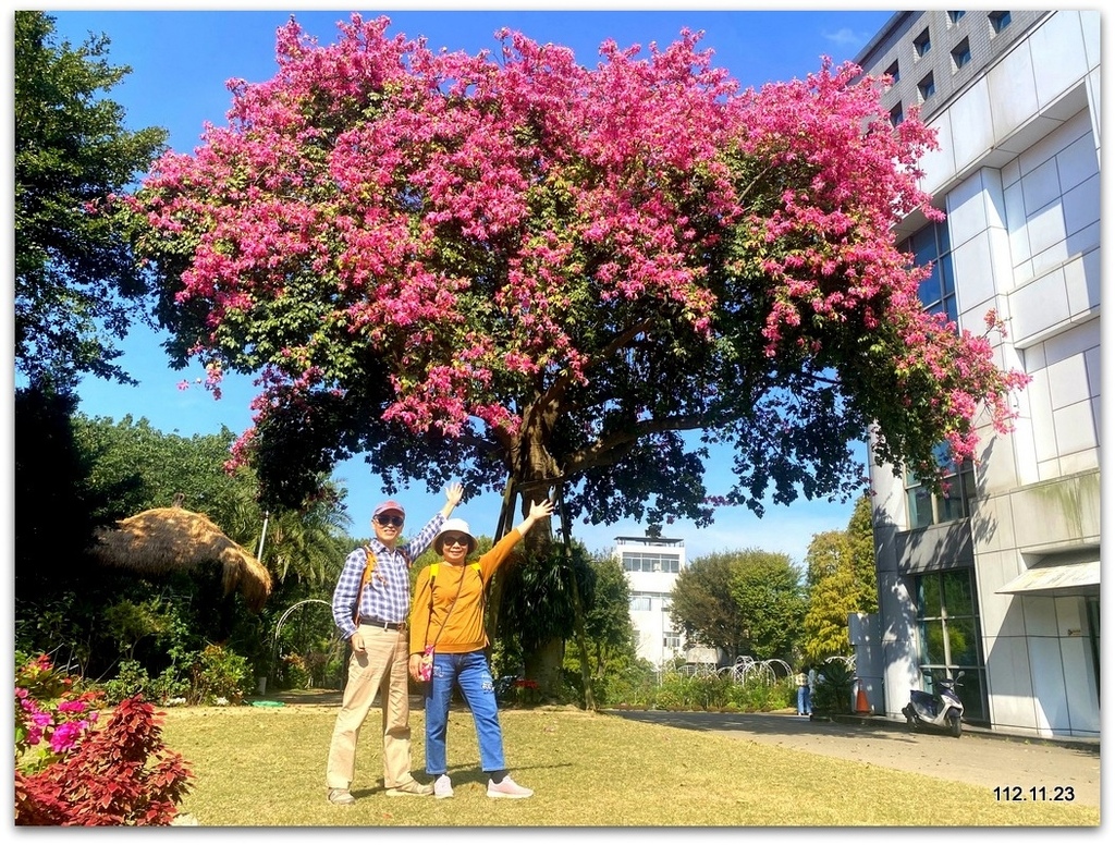 桃園 楊梅 雅聞魅力博覽館