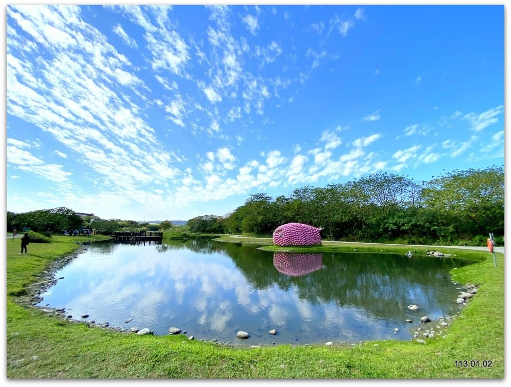 桃園 大溪 月眉落羽松.山豬湖.中庄吊橋