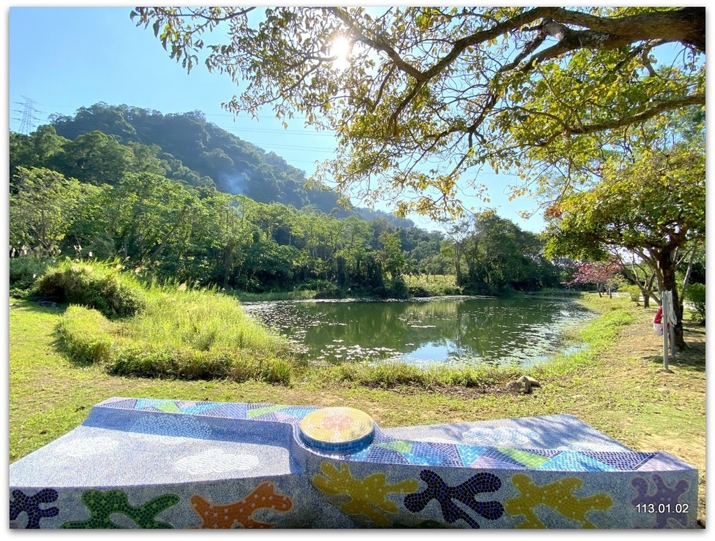 桃園 大溪 月眉落羽松.山豬湖.中庄吊橋