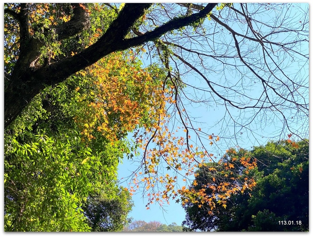 陽明山 草山行館、前山公園、花卉試驗中心