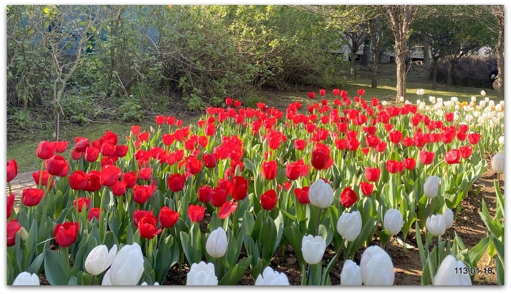 陽明山 草山行館、前山公園、花卉試驗中心