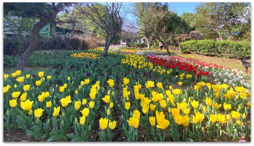 陽明山 草山行館、前山公園、花卉試驗中心