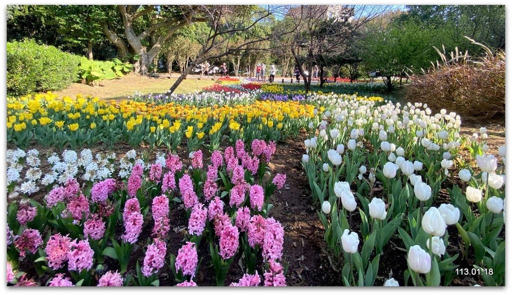 陽明山 草山行館、前山公園、花卉試驗中心