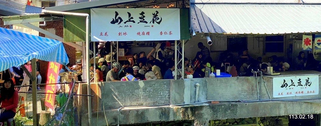 台北文山 樟樹步道 魯冰花海