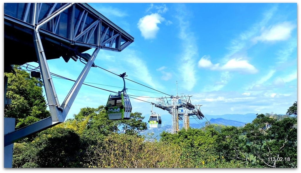 台北文山 樟樹步道 魯冰花海