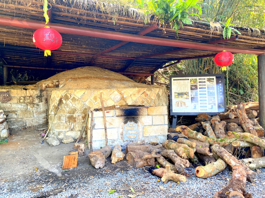 台北文山 樟樹步道 魯冰花海