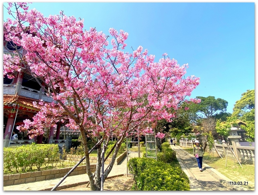 新北 林口 竹林山觀音寺