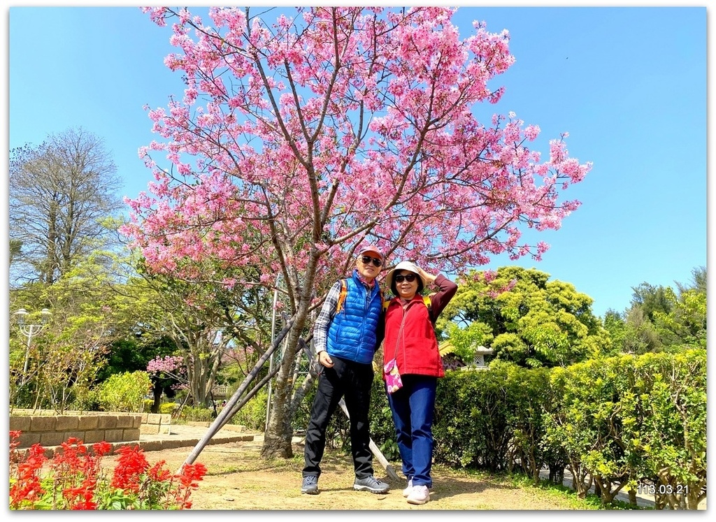 新北 林口 竹林山觀音寺