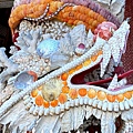 IMG_6620A.JPG