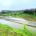 IMG_9102.JPG