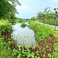 IMG_9104.JPG