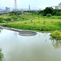 IMG_9113.JPG