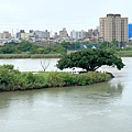 IMG_9121.JPG