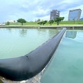 IMG_9130.JPG