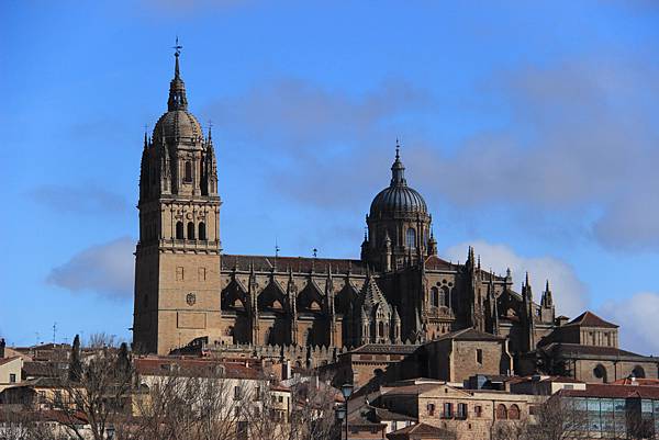 IMG_7167 IMG_7167