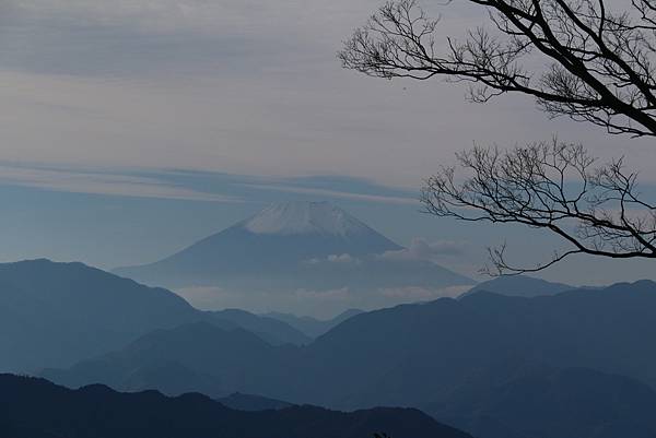 IMG_7256.JPG