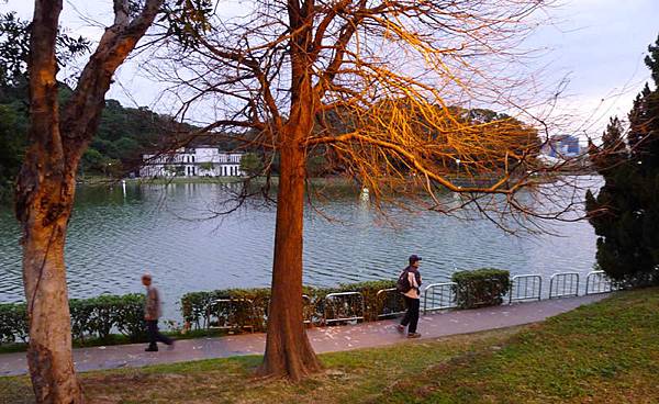 P2140693-1-1 P2140693-1-1