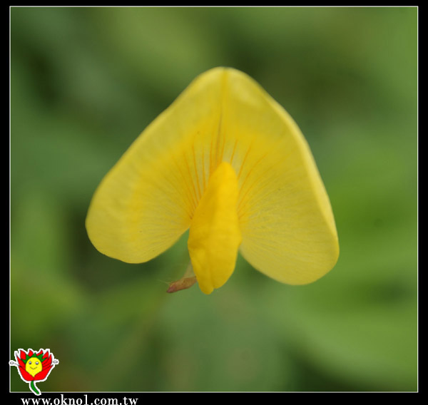 a010.jpg a010.jpg