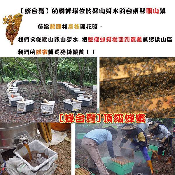 【蜂台灣】龍眼蜜 【蜂台灣】龍眼蜜