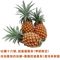 台農十六號 / 甜蜜蜜鳳梨一箱