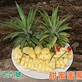 台農十六號 / 甜蜜蜜鳳梨一箱
