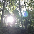 IMG_0494.JPG