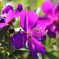 IMG_0572.JPG