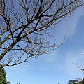 IMG_0582.JPG