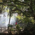 IMG_0617.JPG