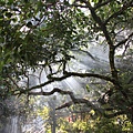 IMG_0620.JPG