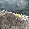 IMG_0627.JPG