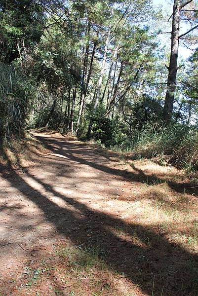 IMG_0116.JPG