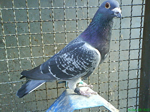 5J2mLGedMwmuam2AGFn26w.jpg 5J2mLGedMwmuam2AGFn26w.jpg