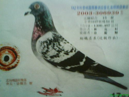 udo_WiH.0ec9_K_XhHGh_A.jpg udo_WiH.0ec9_K_XhHGh_A.jpg