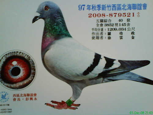 SjXmuUTsUQA9p6dFnF8r9w.jpg SjXmuUTsUQA9p6dFnF8r9w.jpg