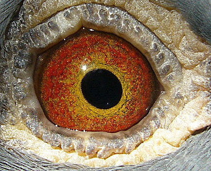 KiExvwtb4ArbYgFynHRPIA.jpg KiExvwtb4ArbYgFynHRPIA.jpg