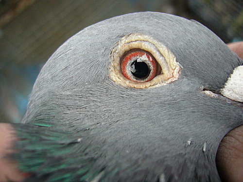 ZxqGjfO9e5AED5E46hKSvg.jpg ZxqGjfO9e5AED5E46hKSvg.jpg