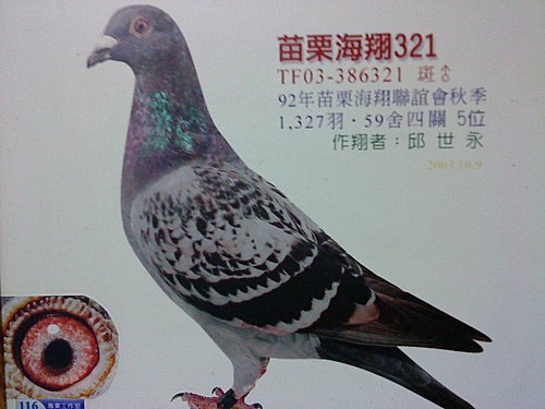 羅索爾.jpg 羅索爾.jpg