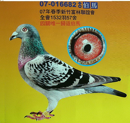 2007春季北海唯一歸返 2007春季北海唯一歸返