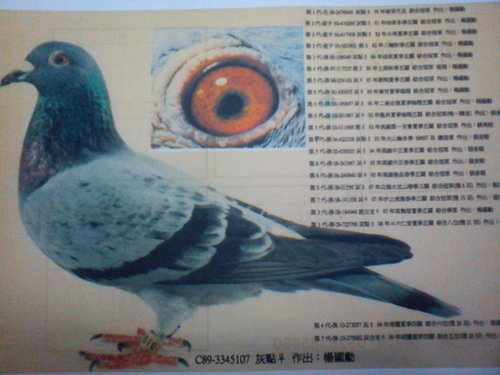 金母1030NQYY2ANlNZ9aIj4wj866Q 金母1030NQYY2ANlNZ9aIj4wj866Q
